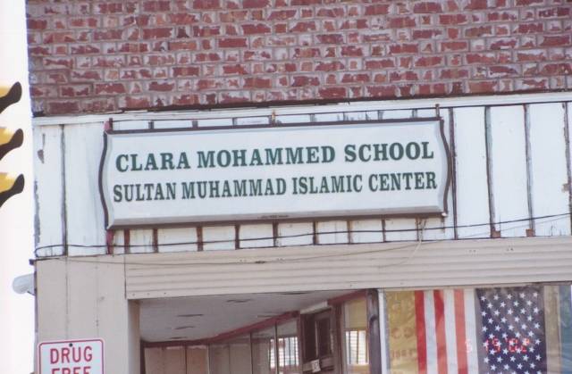Fig. 1. Clara Mohammed School.